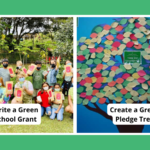 two examples of green school ideas students who won a grant and a tree made of paper leaves with green school pledges