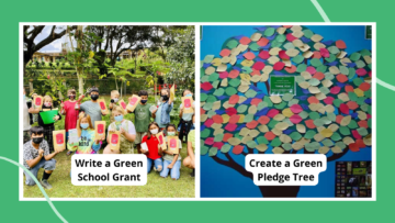 two examples of green school ideas students who won a grant and a tree made of paper leaves with green school pledges